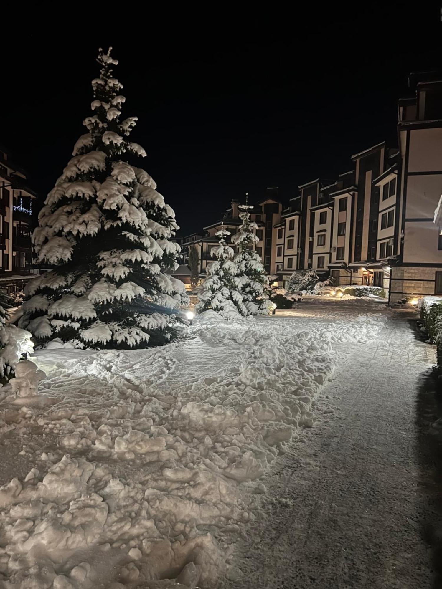 Bardarova Apartments Downtown Bansko Bagian luar foto